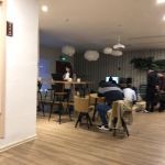 杭州西湖森旅精品青年旅社 预订价格、联系电话及位置地址详解