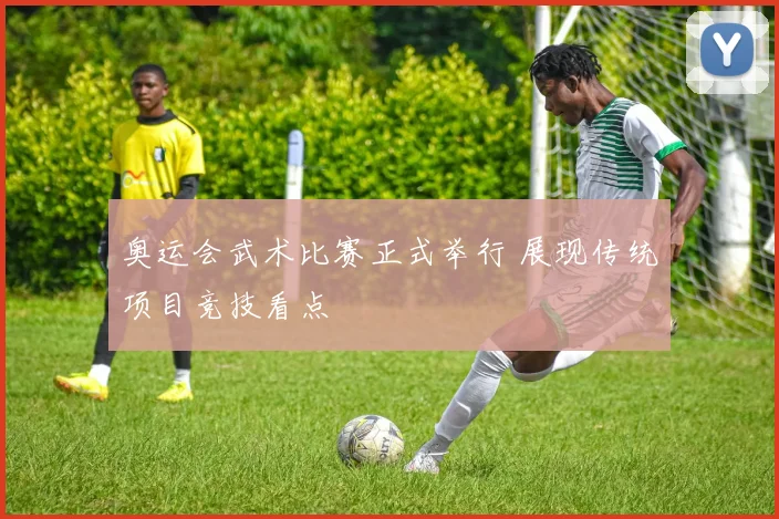 奥运会武术比赛正式举行 展现传统项目竞技看点