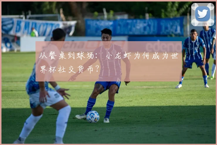 从餐桌到球场：小龙虾为何成为世界杯社交货币？